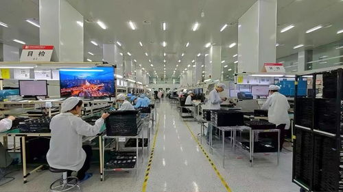 铜仁工业智造升级加“数”跑，数字技术服务赋能产业新未来